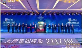 大唐集团爆料新闻最新,最新爆料揭示企业变革与发展新篇章